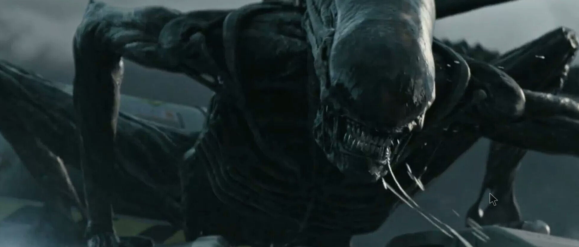 Screenshot_2017-05-29-19-35-56-568-1